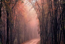 TK体育：中国U15男足法国拉练取得2胜2负战绩.