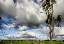 杜月徵入选马贝拉本轮西协甲名单，明日凌晨客战塞维利亚竞技.