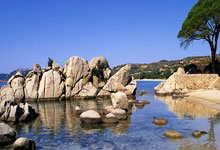 体坛：西班牙足协在确定2030世界杯举办地时出现争议.